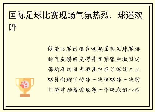 国际足球比赛现场气氛热烈,球迷欢呼