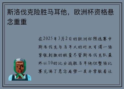 斯洛伐克险胜马耳他,欧洲杯资格悬念重重